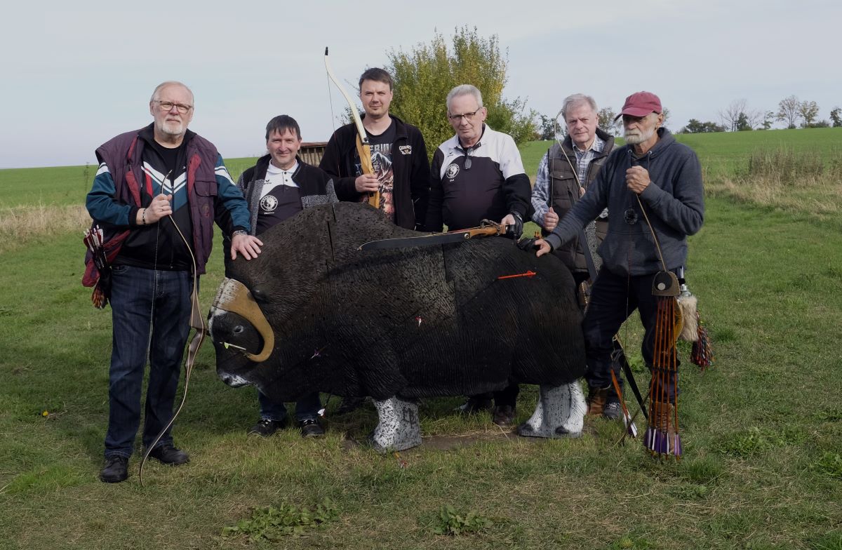 Bison